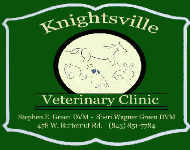 Knightsville Veterinary Clinic